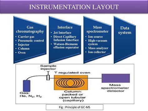 how to interpret gcms|Gas Chromatography – Mass Spectrometry (GC MS) .